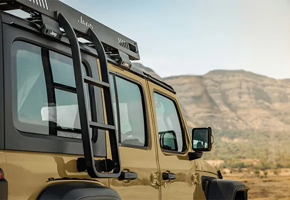 Secured side ladder with roof carrier